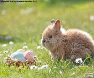 пазл Кролик и пасхальные яйца